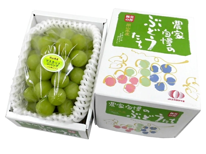 Qoo10] 岡山産 =マスカットジパング= 秀品 1 : 食品