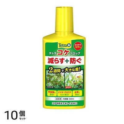 Tetra(テトラ) コケブロック 250mL 10個セット