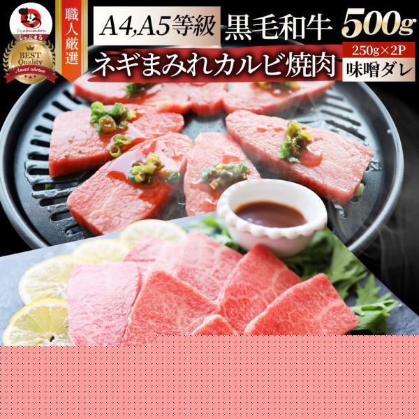 A4,A5等級 特選 黒毛和牛 カルビ焼肉 500g ねぎまみれ 旨辛味噌ダレ（ A4 ～ A5等級 ）牛肉 肉 お歳暮 クリスマス ギフト 食品 お祝い 霜降り 贅沢 黒毛