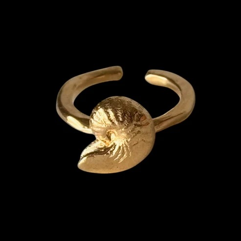 [ gold ] nautlius pinky [ free size ]