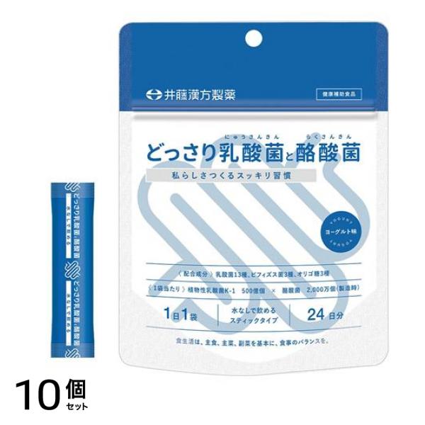 どっさり乳酸菌と酪酸菌 2g× 24袋入 (24日分) 10個セット