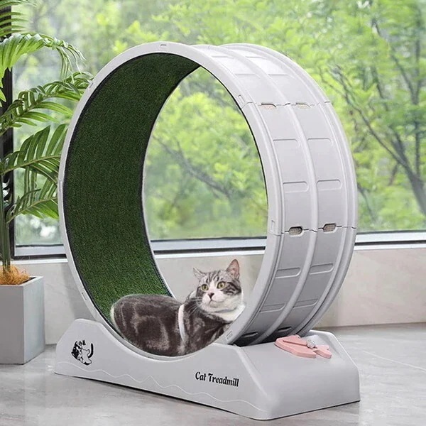 後藤家具物産 DC-WHEEL-ABS 犬猫回転ホイール 犬猫用ランニングマシーン メーカー直送