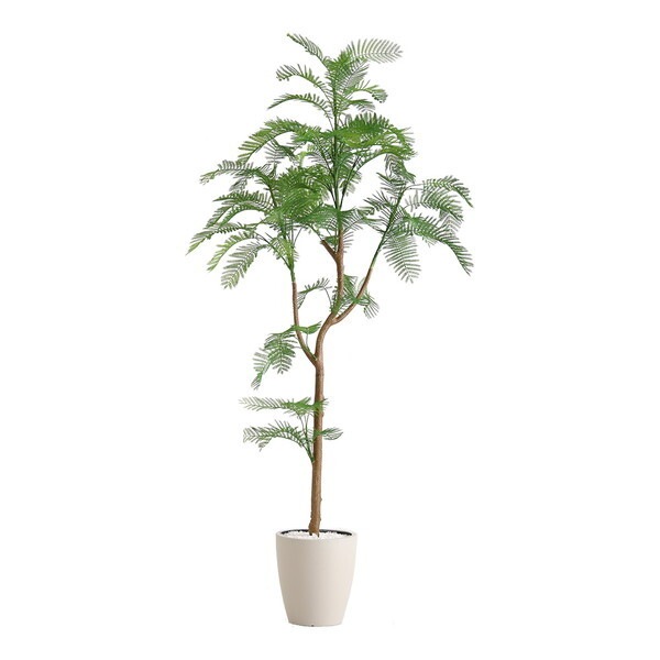 ホームテイスト SH-06-EVE-S お手入れ簡単フェイクグリーン エバーフレッシュ Sサイズ(120cm) アイボリー メーカー直送