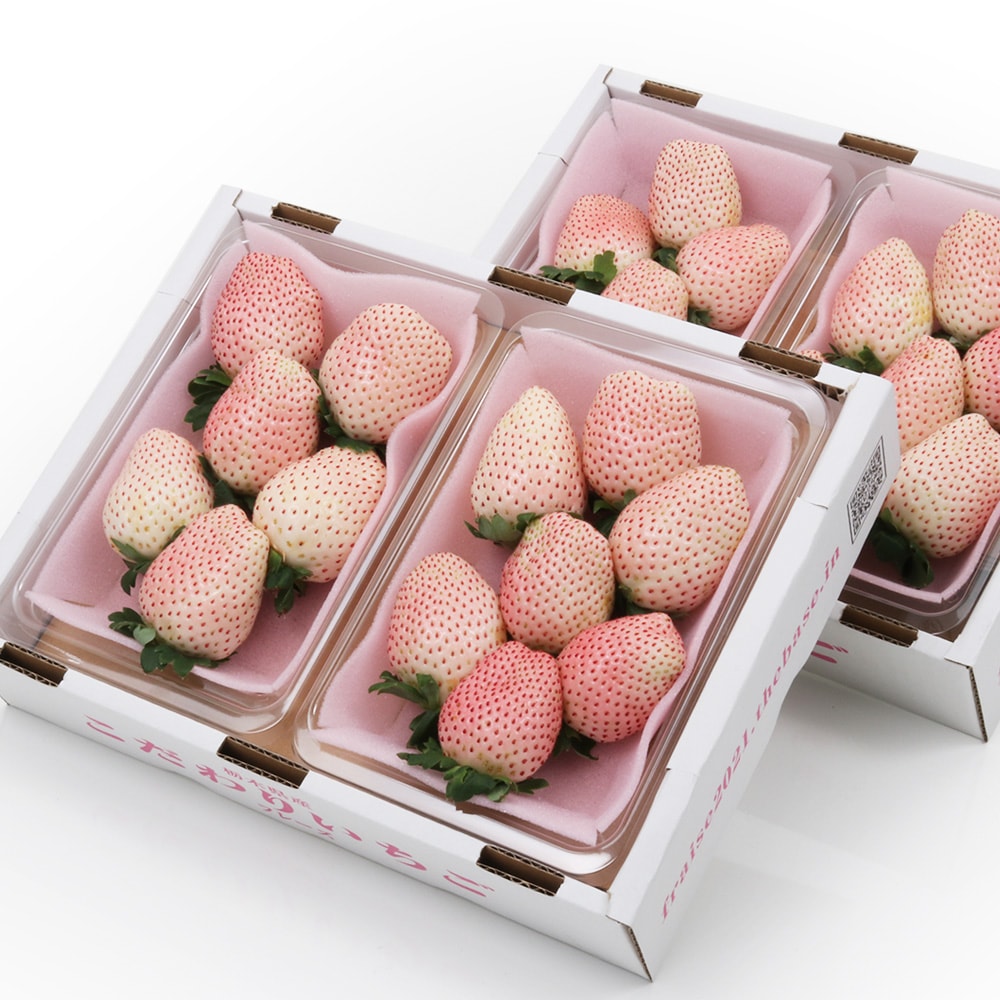 オールドニッポン 龍紋 ティーポット ドラゴン ぼかし ジュエル