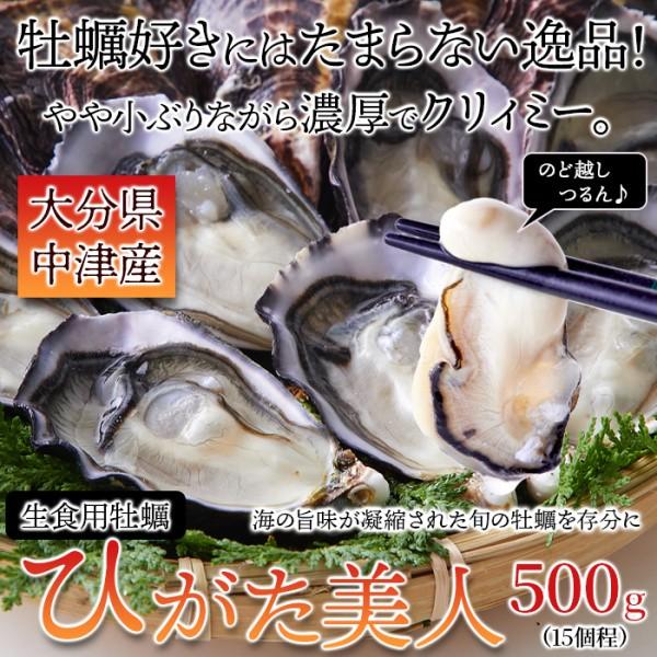 殻付き生牡蠣 500g 大分県中津 ひがた美人 生食用カキ 濃厚クリーミィ 産地直送 冷蔵牡蠣 約500g(10～15個)