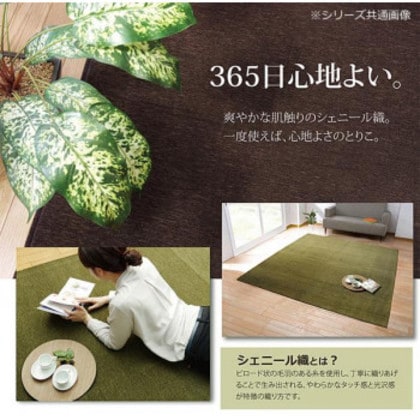 シェニール織カーペット 『モデルノ』 グリーン 約200×250cm 4599339