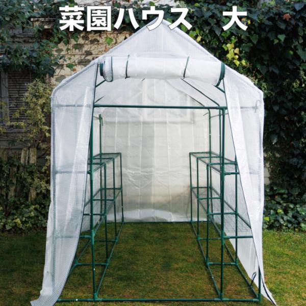 園芸用 菜園ハウス Lサイズ ビニールハウス 小型 家庭用 約3平米 棚付き 幅143×奥行73×高さ195cm