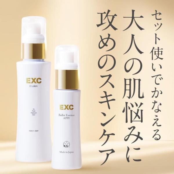 APPSプラスEローション 高配合 EXC Eローション＆フラーエッセンスAPPF セット フラーレン ビタミンC誘導体 ビタミンE誘導体 APPS TPNa アプレシエ apps＋e ナールスゲン