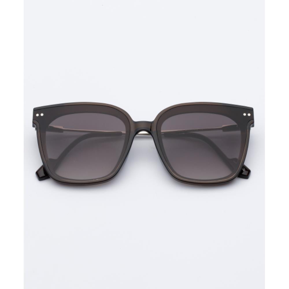 RECLOW RC EF49 SUNGLASS BROWN