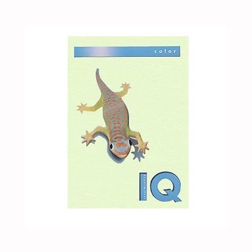 （まとめ買い）伊東屋 バイオトップカラーA4（500枚入） BT505 ｸﾞﾘｰﾝ 00032231 [x3]