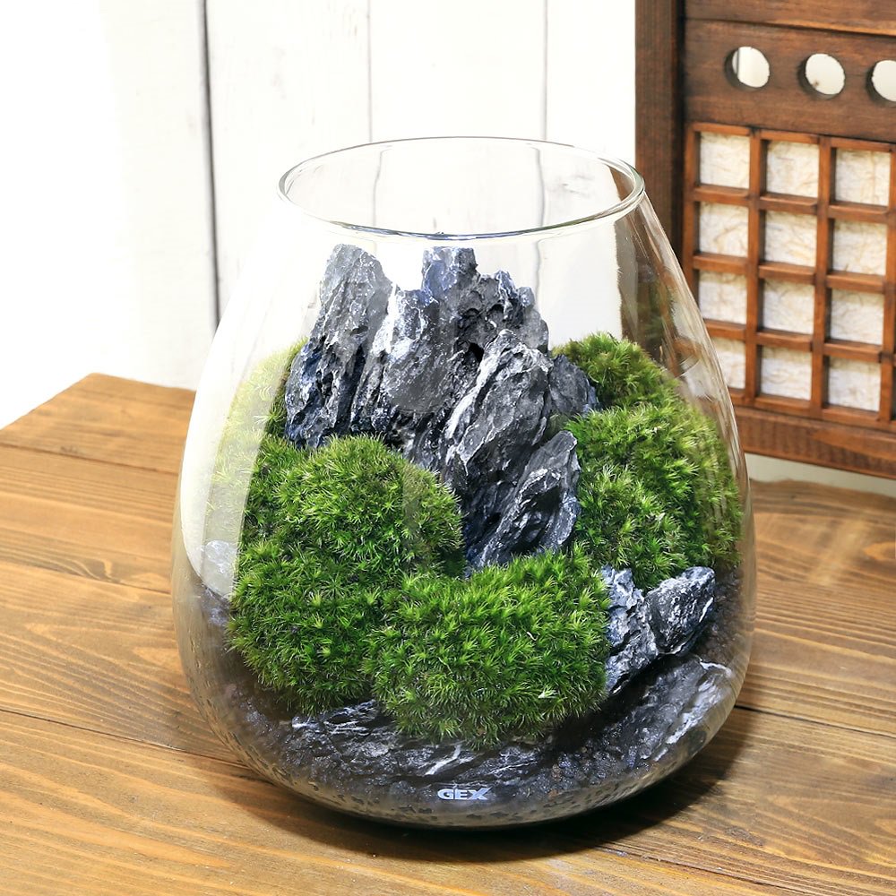 （観葉植物）ＧＥＸ　グラスアクアリウム　ティア　白流石　レイアウト完成品（１個）　ＣＲＣ10―85―20―00―00
