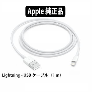 apple 純正 充電器 iphone