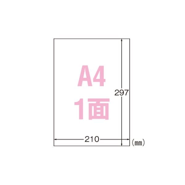 （まとめ） エーワン 屋外でも使えるサインラベルシール ツヤ消しフィルム・ホワイト 31047 30枚入 (×2セット)