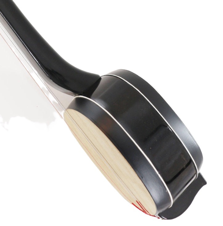 坠琴 三弦 Zhuiqin Sanxian 中国弦楽器