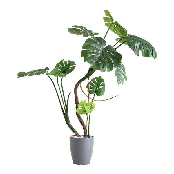 ホームテイスト SH-06-MON-M お手入れ簡単フェイクグリーン モンステラ Mサイズ(150cm) グレー メーカー直送