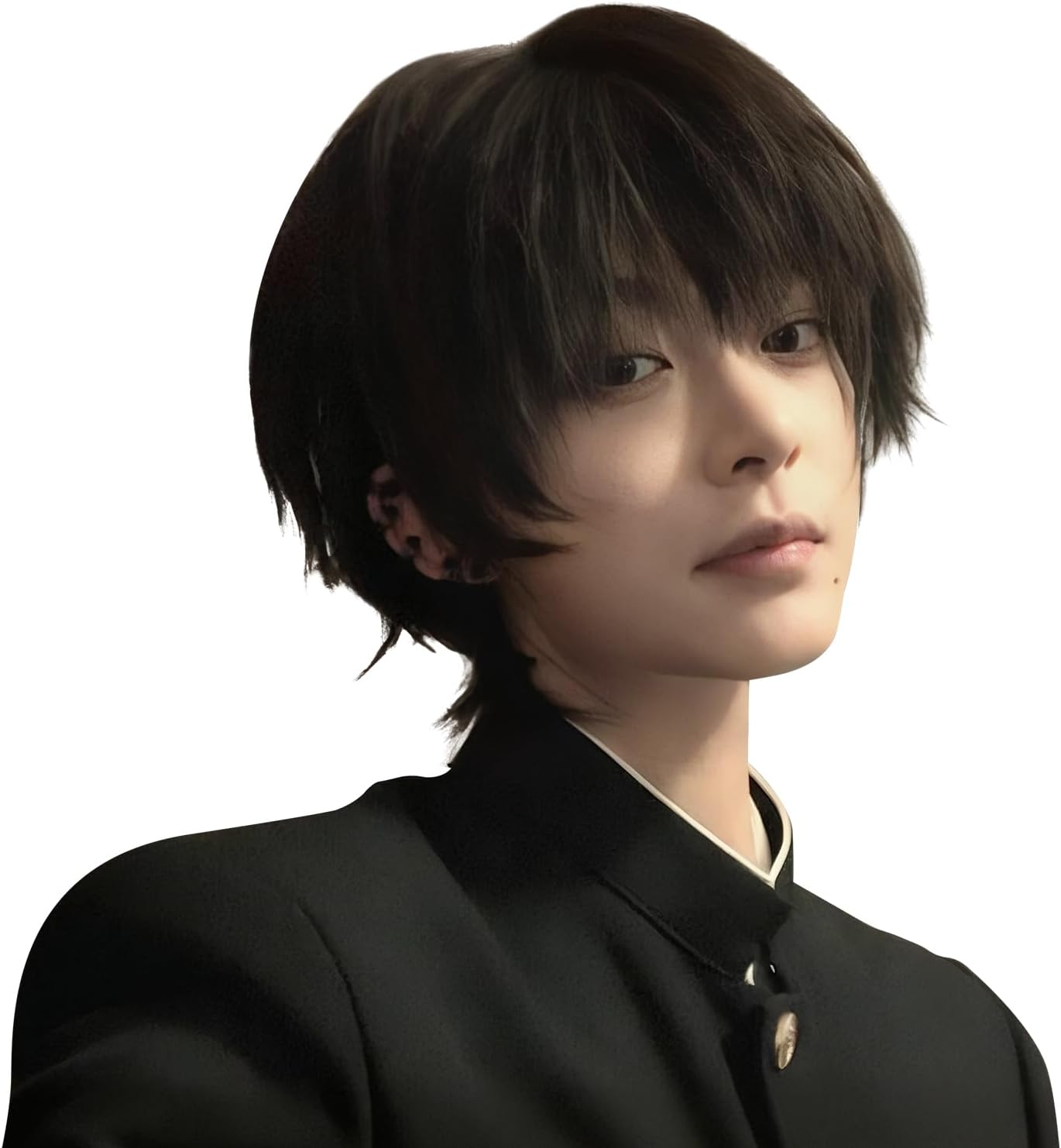 ショートヘアのフルウィッグ 耐熱仕様 ネット・櫛付き ブラック