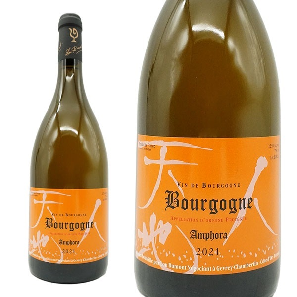 ブルゴーニュブランアンフォラ[2021]年ルーデュモン(仲田晃司氏)AOCブルゴーニュシ