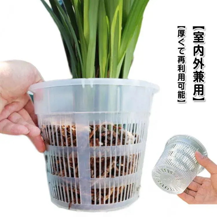 蘭の鉢 直径14cm オーキッドポット セットプラスチック 屋内 胡蝶蘭 直径16cm 多肉植物 セットプラスチック 新作登場 直径11cm 洋蘭