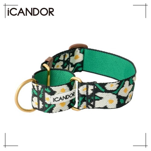 ペット 首輪 Smooth Martin Gale Collar 38 MM_Big Fish