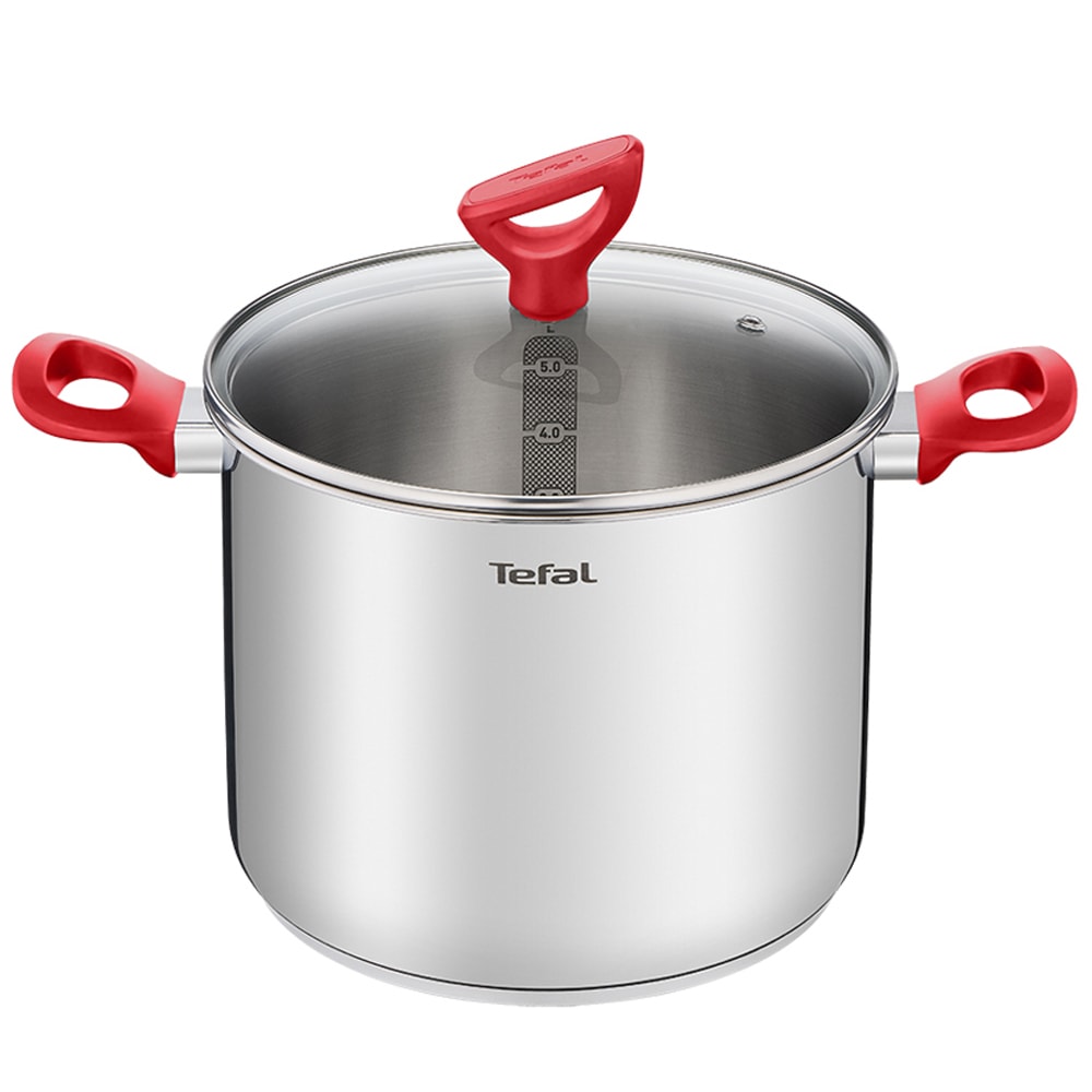 エディションレッド ステンレススチール IH調理器対応ストックポット (22cm, 6.0L) PFOAフリー シルバー