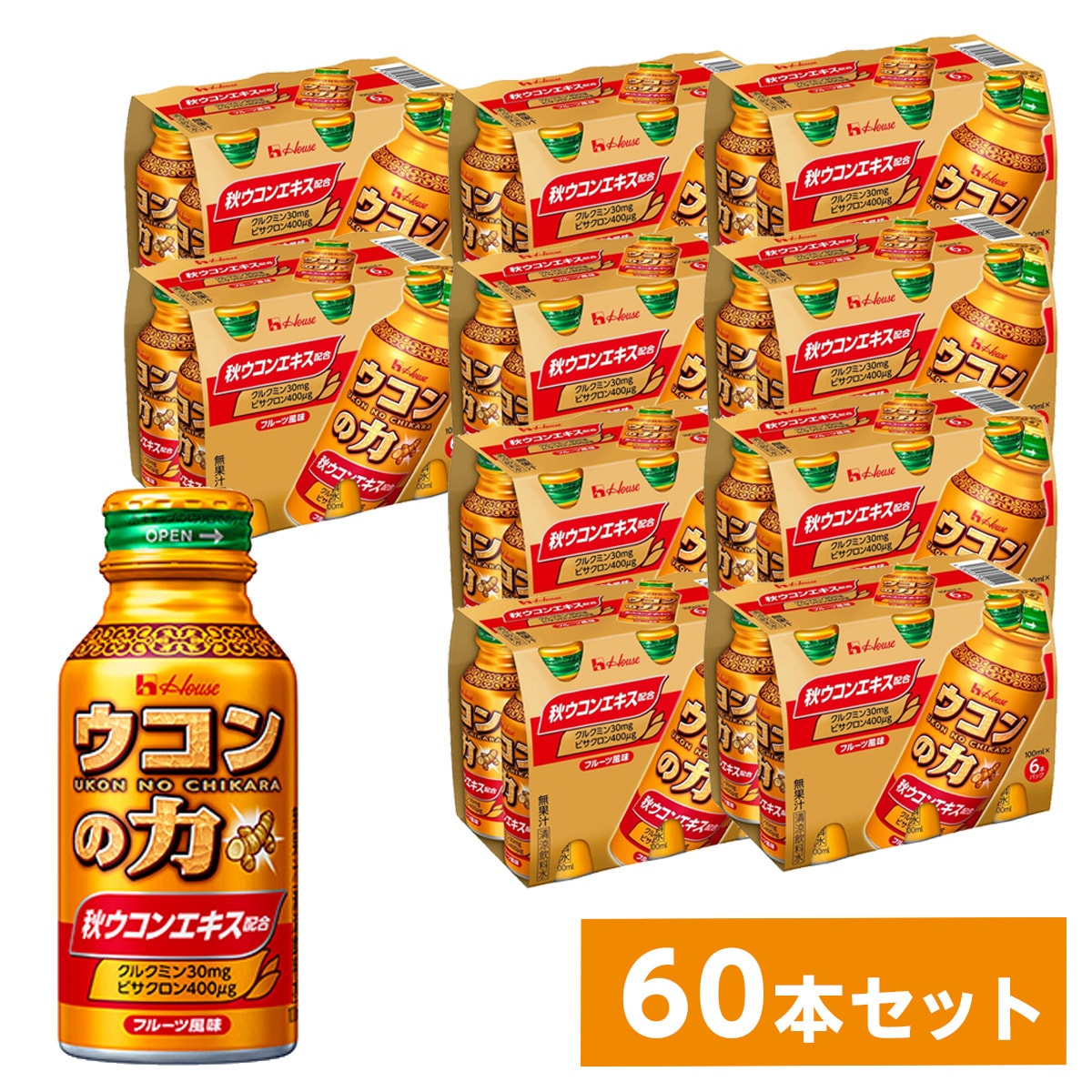 【まとめ買い】 ハウスウェルネスフーズ ウコンの力 ウコンエキスドリンク 100ml60缶(6缶パック10P)