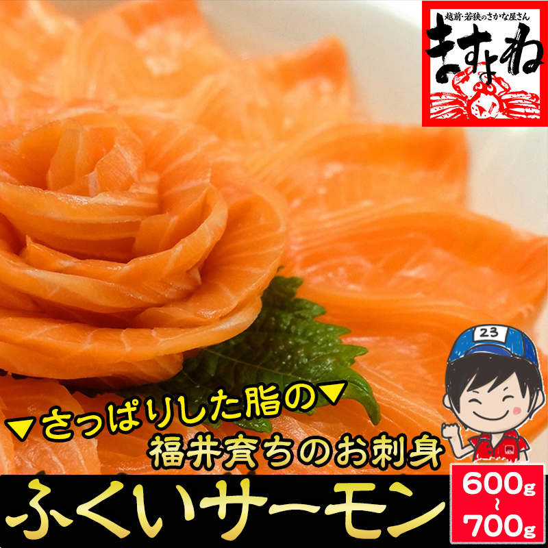 ふくいサーモン100%使用！サーモンお刺身セット600g~700g 福井育ちのサーモン ギフト 【ギフトのし対応】