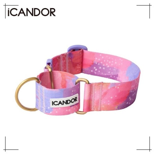 ペット 首輪 Smooth Martin Gale Collar 38mm Milkyway