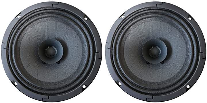 ダイトーボイス DS-16IIIF 8Ω 16cm フルレンジスピーカー ダブルコーンスピーカー 1