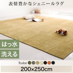 表情豊かな撥水機能付きシェニールラグ [claro]クラーロ 200x250cm ネイビー