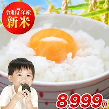 【新米】 令和7年熊本県産 キヌヒカリ 白米 9kg (4.5kg×2袋) 【速攻出荷】 お米 単一原料米 単一米 米 コメ 精米 【1-5営業日以内に出荷予定】