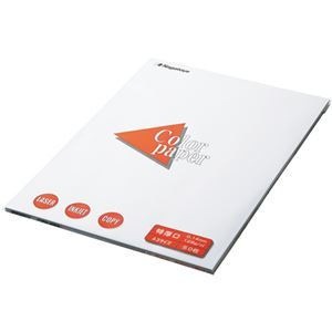 （まとめ） 長門屋商店 Color Paper A3 特厚口 白 ナ-1401V 1冊（100枚） 4セット