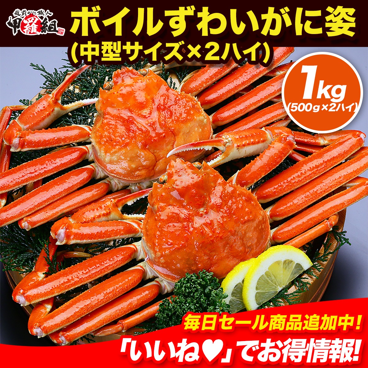 良型中型サイズを厳選！ボイルずわいがに姿1kg（500g前後2ハイ）食べ方の説明書同封【カニ】【かに】【蟹】　【初心者さんでも安心！さばき方動画あり】
