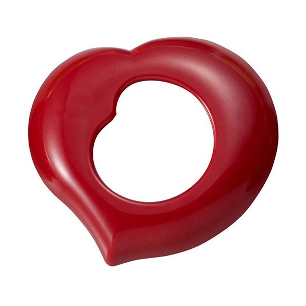 [5セット] スマイルキッズ マグネット付ルーペ レッド ARP-04RDX5