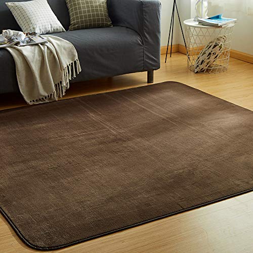 カーペット ラグ 洗える 滑り止め付 防ダニ 抗菌 防臭 ２００×３００cm(約４．５畳) １０色選べる 1年中使えるタイプ 床暖房 ホットカーペット対応 ふわっと手触り 優しいフランネルラグ