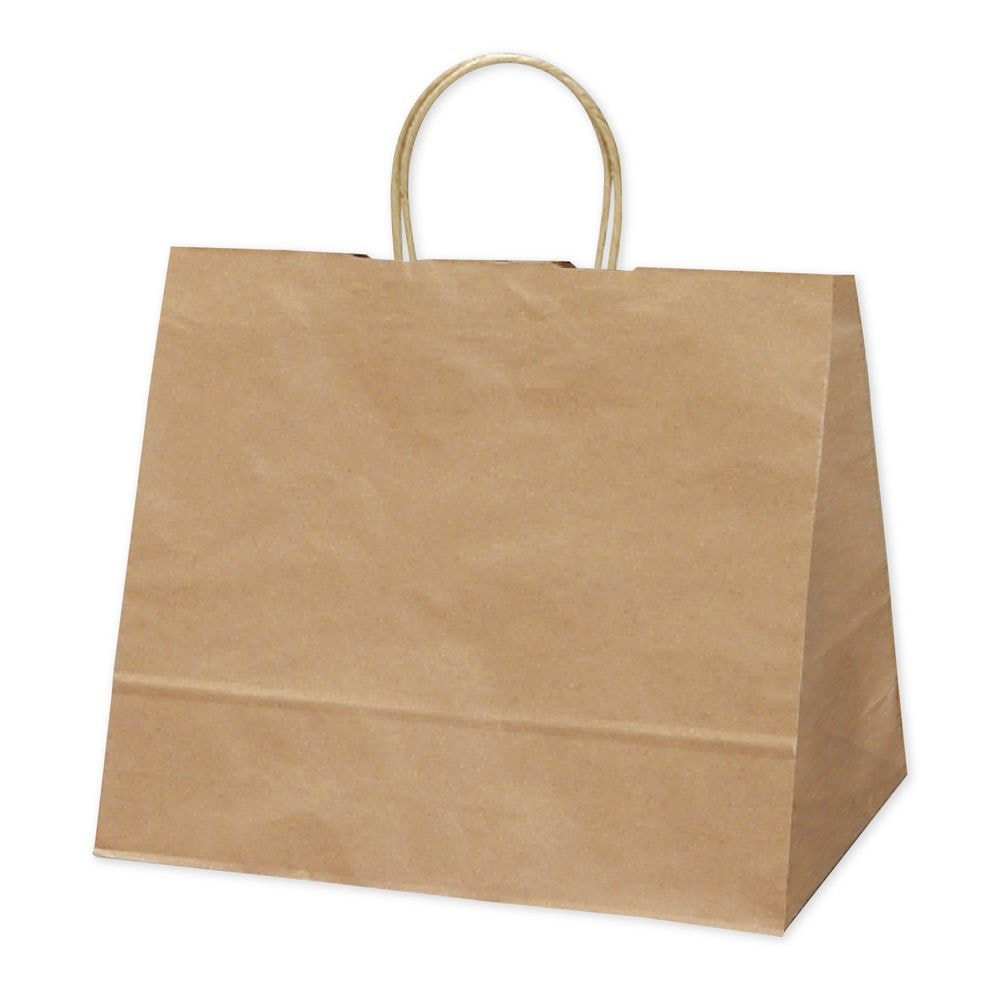 （まとめ買い）ササガワ 手提げ袋 未晒 幅320xマチ200x高さ275mm 50枚入 50-5001 [x3]