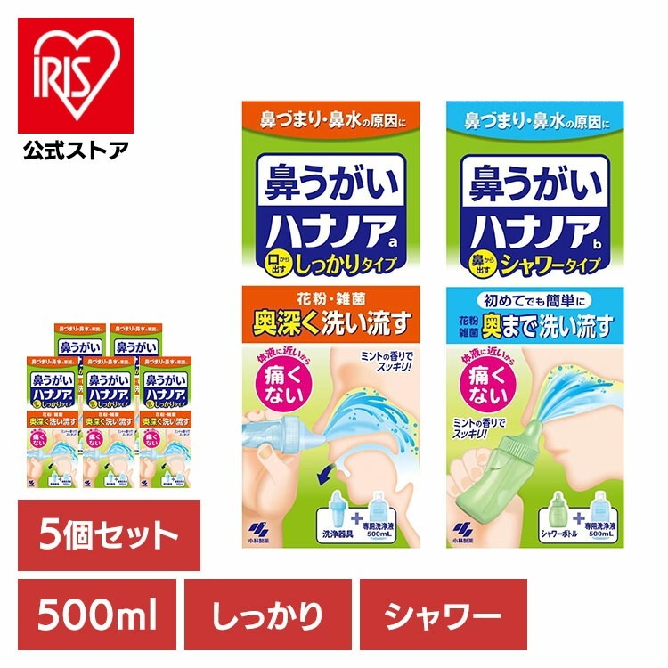 (5個セット)鼻うがい 鼻洗浄 花粉 ハナノア 500mL 小林製薬