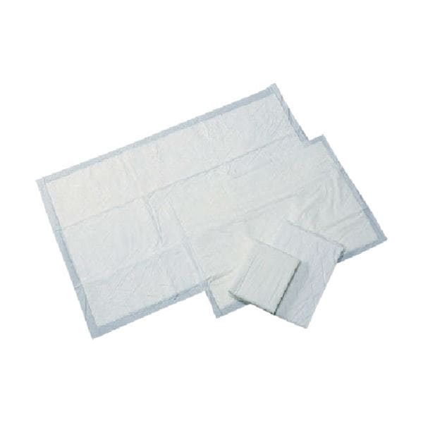 橋本クロス 吸水パッド440x600mm HL-02 1箱（100枚）