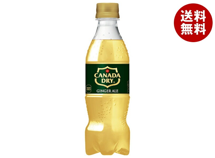 コカコーラ カナダドライ ジンジャーエール 350mlPET＊24本入＊(2ケース)