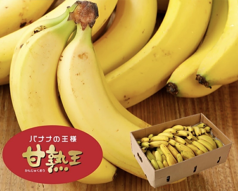 【バナナの王様！】完熟王 バナナ 15kg (約80-90本) 14kg +1kg保証分 朝食 おやつ