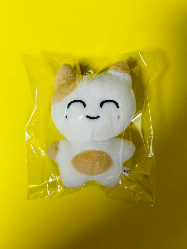 nct127 ジェヒョン ぬいぐるみ ドール 人形 10cm マスター NCT 127