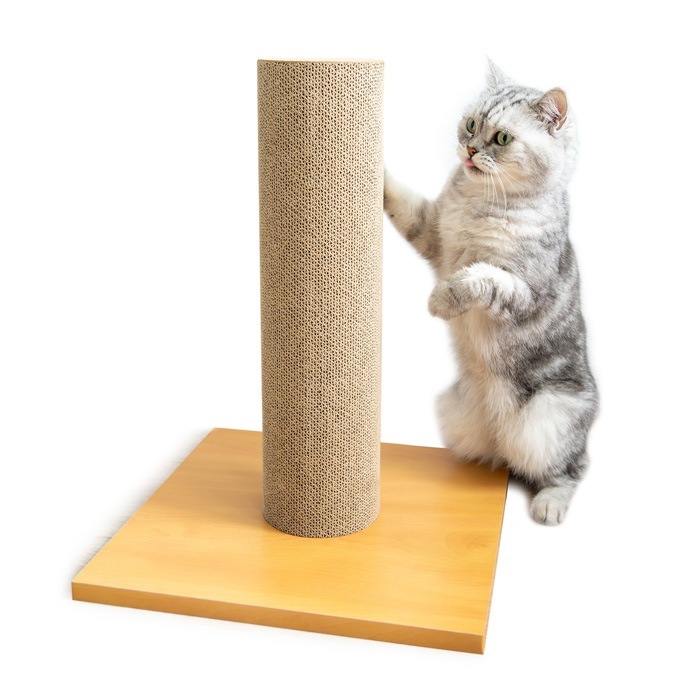 スクラッチポール 本体 P-4981528611069 猫用 爪とぎ