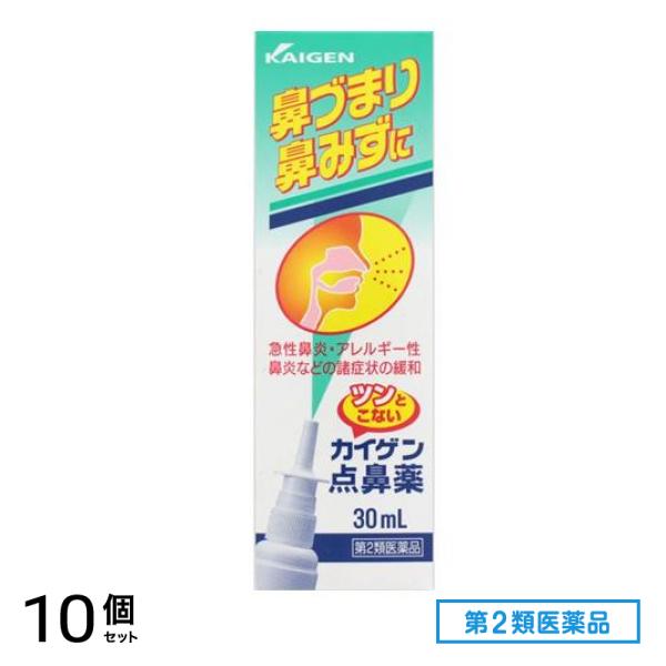 第２類医薬品 カイゲン点鼻薬 30mL 10個セット