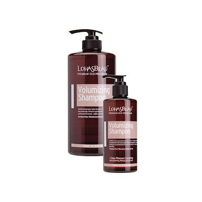 龍芳画 色絵仙人図抹茶茶碗 【公式通販】