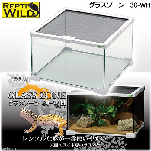 爬虫類ケージ　三晃商会　グラスゾーン　３０ＷＨ　爬虫類　ケージ　飼育　お一人様２点限り　ＣＲＣ17―15―05―30―00