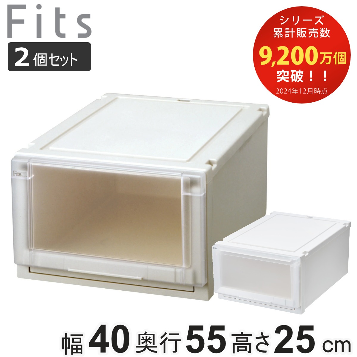 収納ケース 同色2個セット 幅40x奥行55x高さ25cm Fits フィッツアドバンス ケース 4025 クローゼット 収納 収納ボックス 日本製 プラスチック 衣装ケース 天馬 押し入れ