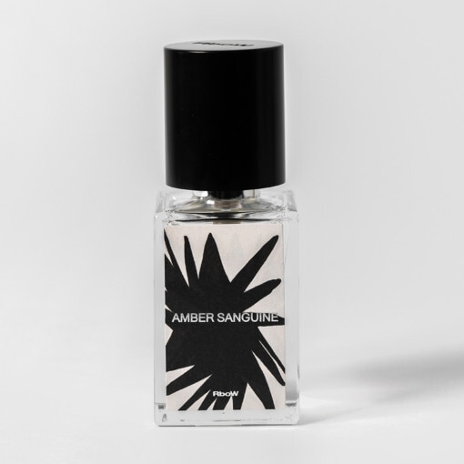 RboW ケース スタディ オードパルファン 香水 #23 アンバーペンギン 30ml