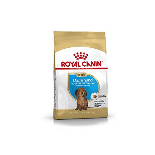 ロイヤルカナン BHN ダックスフンド 子犬用 1.5kg 4,920円
