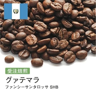 受注焙煎！2kg グアテマラ ファンシーサンタロッサ SHB [選べる焙煎度合い] コーヒー豆 大山珈琲　 業務用 自家焙煎 卸