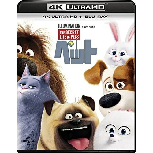 アニメ ／ ペット(4K ULTRA HD+ブルーレイ) (4K ULTRA HD) GNXF-2193