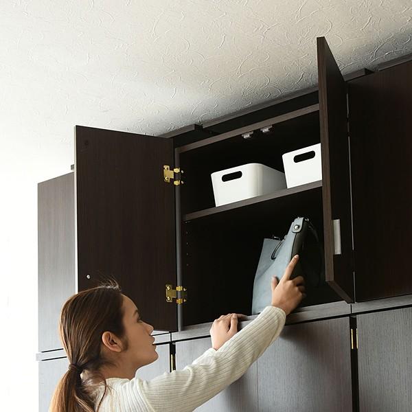 上置き 扉つき 収納 突っ張り 天井 固定 棚 つっぱり 収納棚 おしゃれ スリム 薄型 北欧 ドア付き 取っ手 本棚 2段 耐震 地震対策 防災 白 ホワイト ブラウン